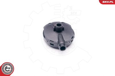 Valve, crankcase ventilation 31SKV021