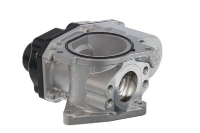 EGR Valve 700424