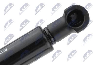 AMORTIZOR CAPOTA NTY AETY066 2