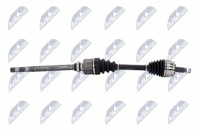 PLANETARA NTY NPWCT183 8