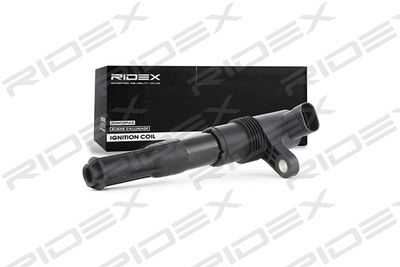 Катушка зажигания RIDEX 689C0095 для FIAT STILO