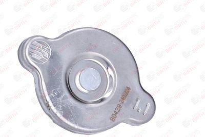 BUSON RADIATOR BIRTH 80429 12