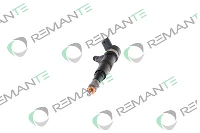 INJECTOR REMANTE 002003001174R 4