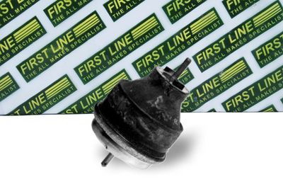 окачване, двигател FIRST LINE FEM3170