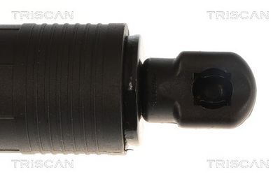 AMORTIZOR PORTBAGAJ TRISCAN 871025304 3