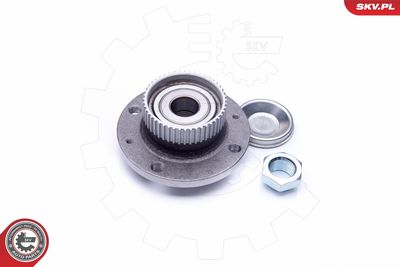 Wheel Bearing Kit 29SKV195