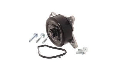 WASSERPUMPE MOTORKüHLUNG SKF VKPC91810 33