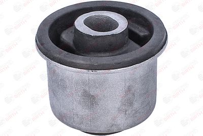 SUPORT AX BIRTH 53913 3