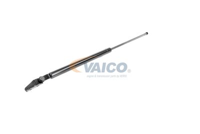 GASFEDER KOFFER-/LADERAUM VAICO V320074 55