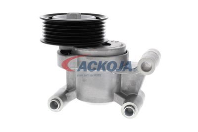 INTINZATOR CUREA CUREA DISTRIBUTIE ACKOJA A320602 14