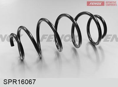 FENOX SPR16067 Пружина підвіски 