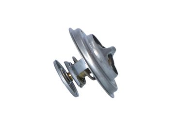 TERMOSTAT LICHID RACIRE NRF 725072 36