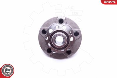 Wheel Bearing Kit 29SKV283