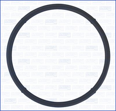 GARNITURA CARCASA TERMOSTAT