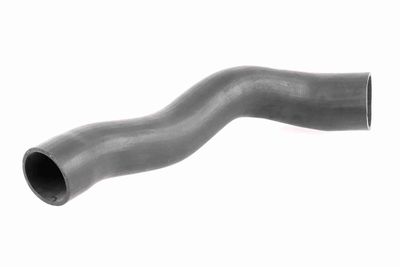 FURTUN EAR SUPRAALIMENTARE