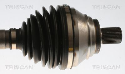 PLANETARA TRISCAN 8540296062 2