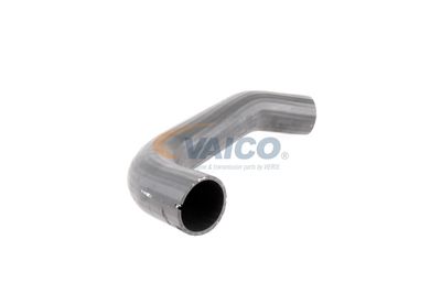 LADELUFTSCHLAUCH VAICO V420591 51