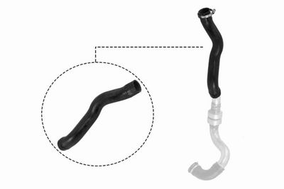 FURTUN EAR SUPRAALIMENTARE