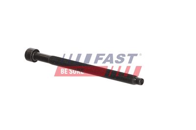 SURUB CHIULASA FAST FT12954 10