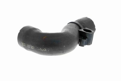 FURTUN EAR SUPRAALIMENTARE VAICO V103829 4