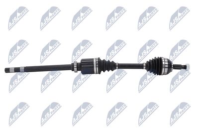 PLANETARA NTY NPWCT026 7