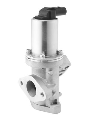 AGR-VENTIL BorgWarner 729019D 1