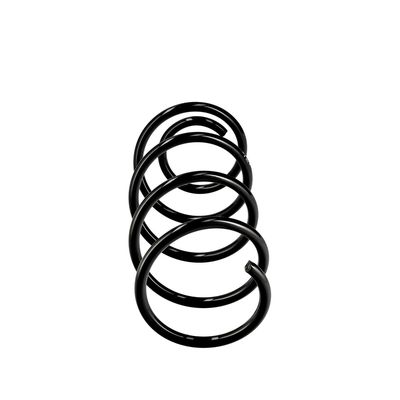 ARC SPIRAL EIBACH R10630 13