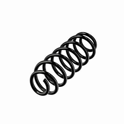 ARC SPIRAL EIBACH R10795 15