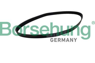 INTINZATOR CUREA CUREA DISTRIBUTIE