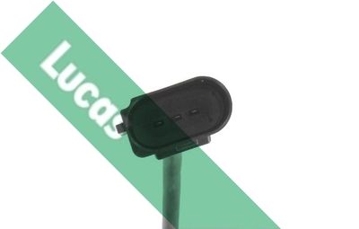 SENOR BATAI LUCAS SEB2014 1