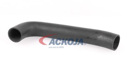 FURTUN EAR SUPRAALIMENTARE ACKOJA A379602 14