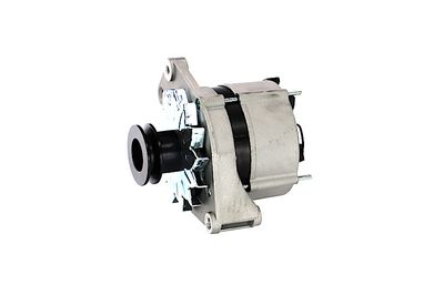GENERATOR / ALTERNATOR REMANTE 011003000270R 8