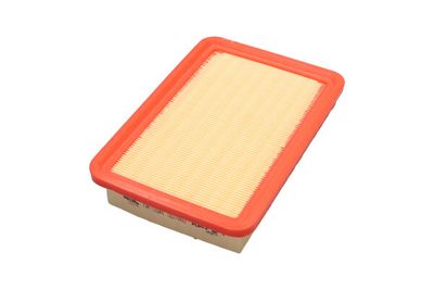 Kavo Parts Oro filtras
