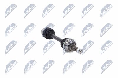 PLANETARA NTY NPWFR031 14