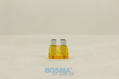 Poistka BOSMA 1877