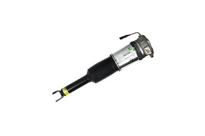 LUFTFEDERBEIN Arnott AS2958 74