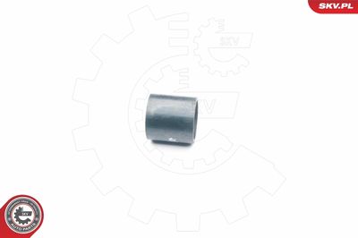 FURTUN EAR SUPRAALIMENTARE