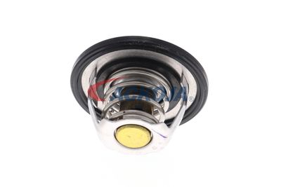 TERMOSTAT LICHID RACIRE ACKOJA A53990002 49