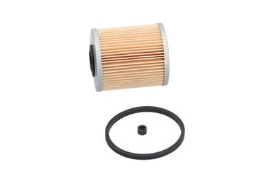 FILTRU COMBUSTIBIL AMC Filter NF2481 6