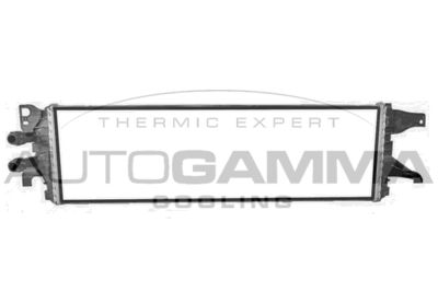 AUTOGAMMA 107823 Крышка радиатора для VW TRANSPORTER VI c бортовой платформой/ходовая часть (SFD, SFE