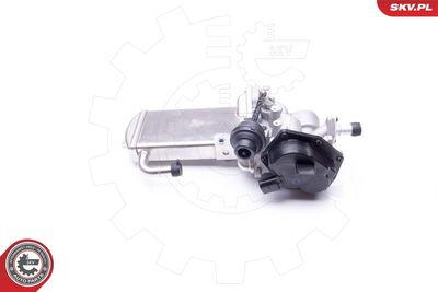 EGR Valve 14SKV153