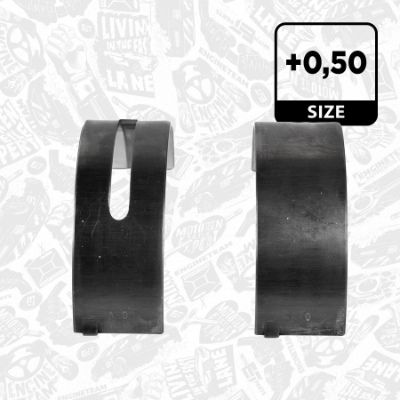 SET RULEMT ARBORE COTIT ET ENGINETEAM LH001950 2