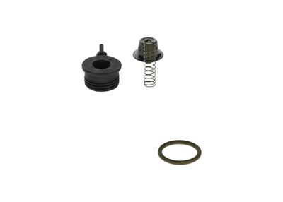Sada na opravy, systém common rail BOSCH F 00N 203 059