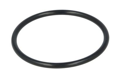 Cilinderbus O-ring