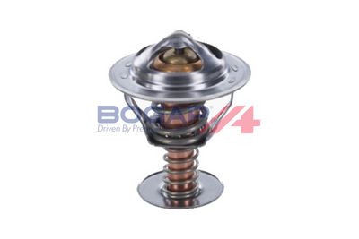 TERMOSTAT LICHID RACIRE