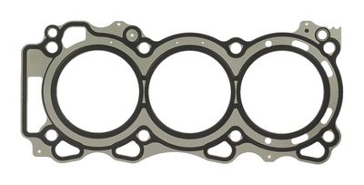 GARNITURA CHIULASA PAYEN AE5910