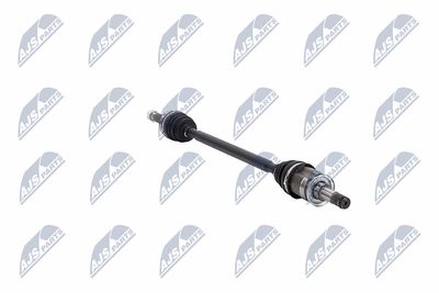 PLANETARA NTY NPWCH094 31