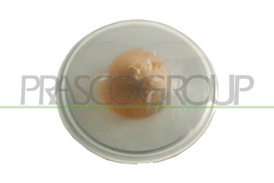 BLINKLEUCHTE PRASCO FT1334139