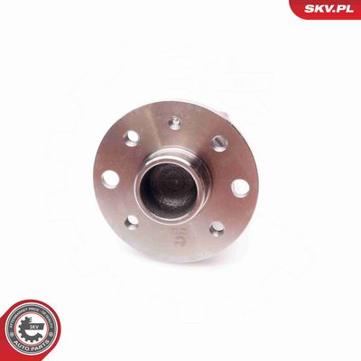 SET RULMENT ROATA ESEN SKV 29SKV113 3