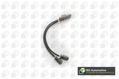 Snímač, teplota chladiva BGA CT5648W
